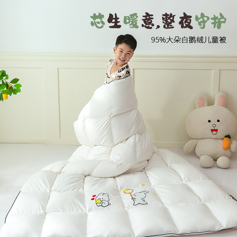 Children's duvet student 95 goose down quilt kindergarten white goose down 5A 100 goose down quilt cartoon baby quilt core