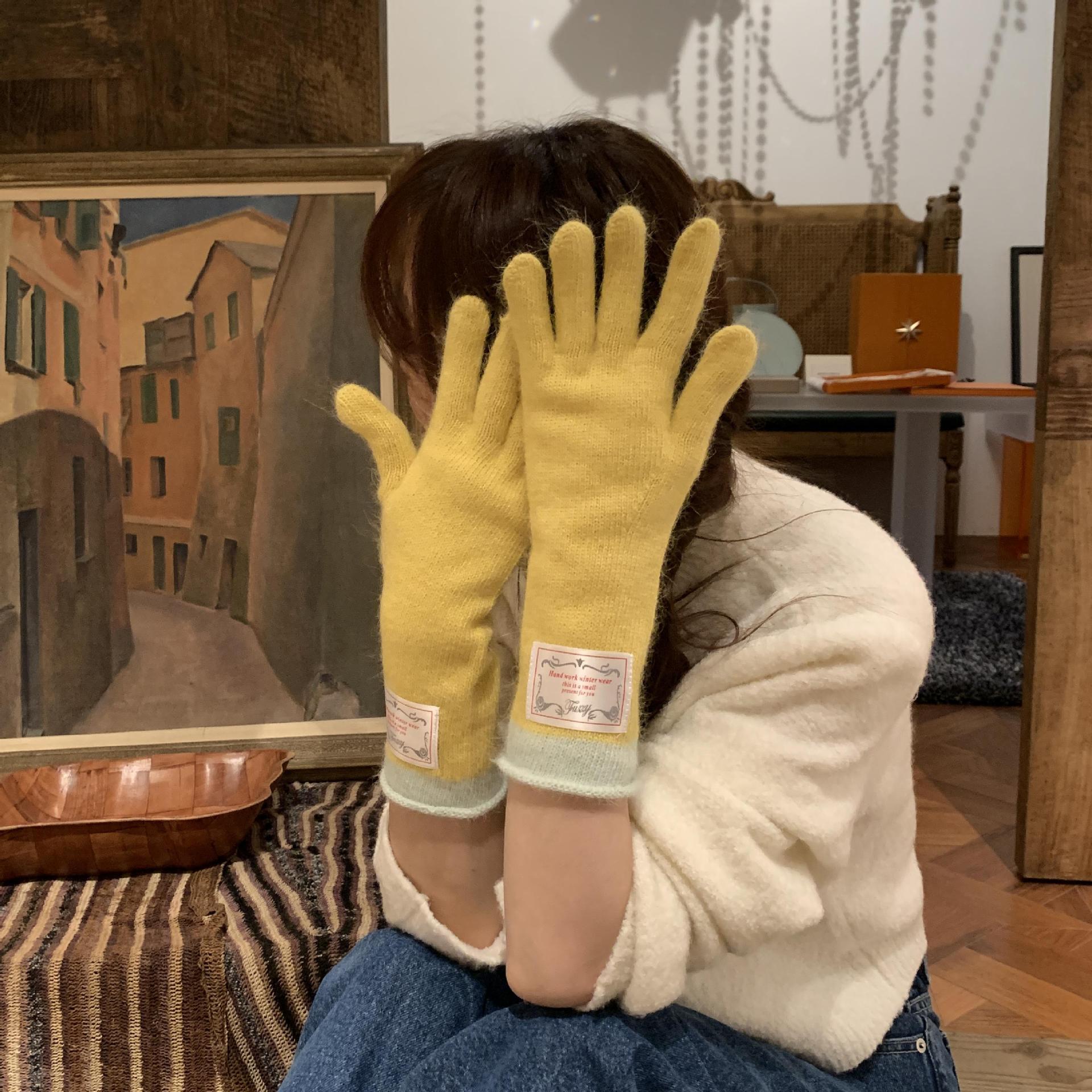South Korea Ins New Long Wrist Knitted Rabbit Hair Touch Screen Gloves Autumn and Winter Warm Fresh Color Small Scarf All-match