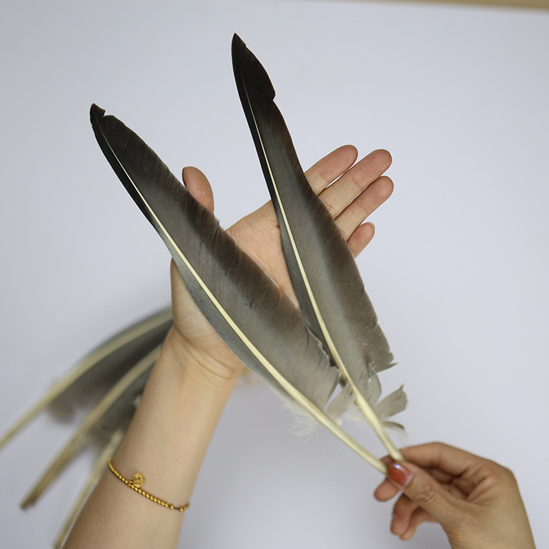 Picture of in stock hunchback gray goose feather primary color goose feather diy material accessories Zhuge Liang with feather fan accessories