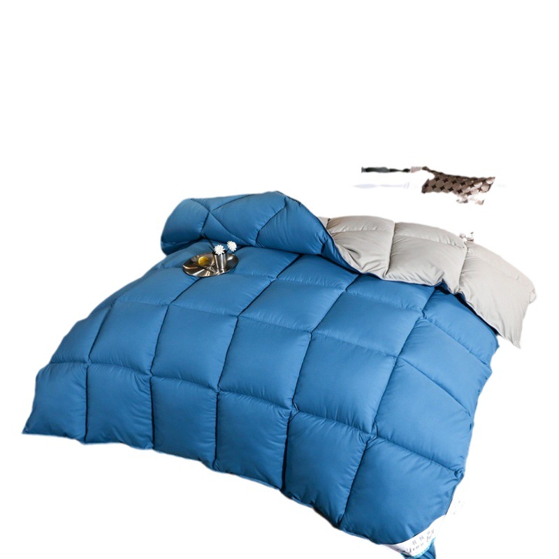 Quilt thickened warm winter quilt gift hotel student dormitory quilt core autumn and winter Nantong bedding wholesale generation