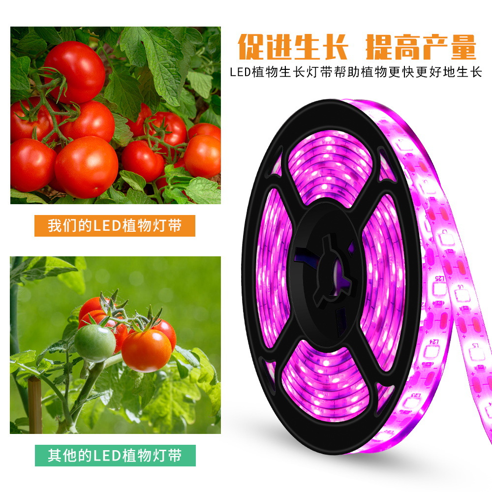 Picture of Qianrun Lighting Plant fill light USB hand sweep induction cultivation plant light with LED Full Spectrum growth light fleshy