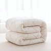 Picture of Cotton Quilt Student Dormitory Mattress Quilt Single Cotton Quilt Quilt Core Spring Autumn Winter Quilt Thickeneded 5kg Quilt