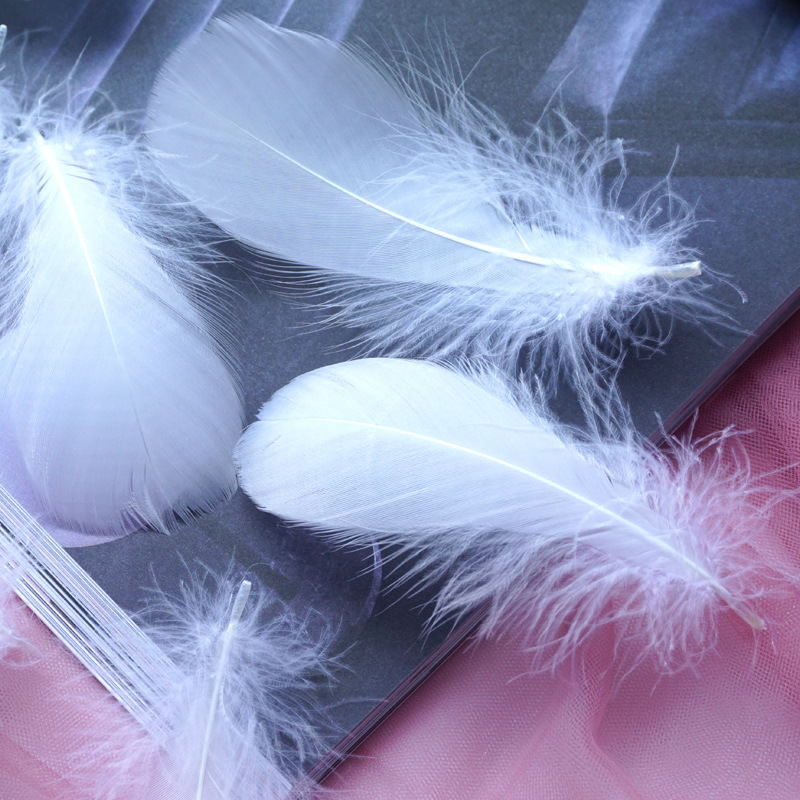 Picture of Color feather DIY floating dyeing goose feather dream catcher wave ball gift box filling decorative materials wholesale