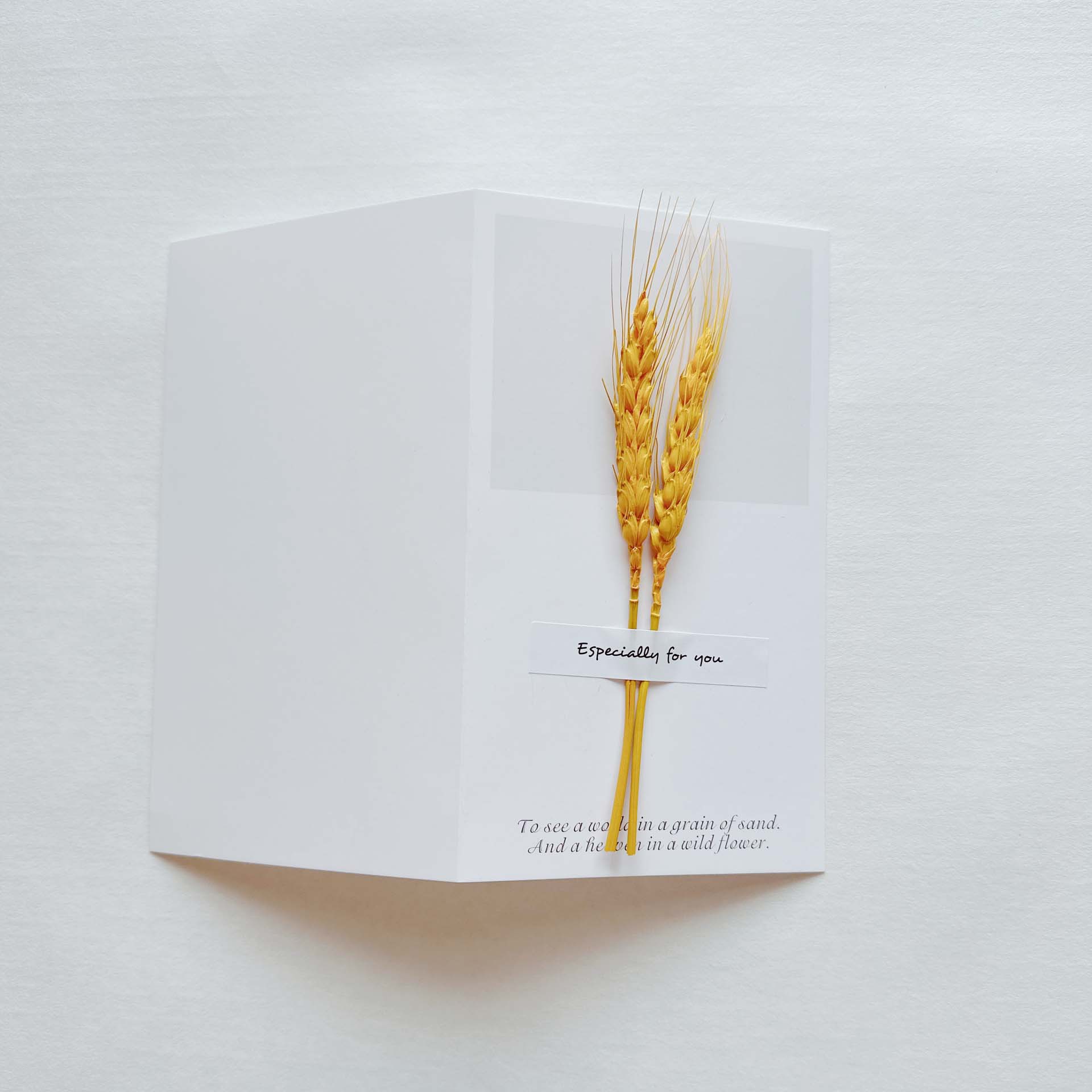 Picture of Gypsophila Dried Flower Greeting Card Birthday Greeting Card Creative Handmade Card Mid-Autumn Festival Handwritten Creative Universal Greeting Card