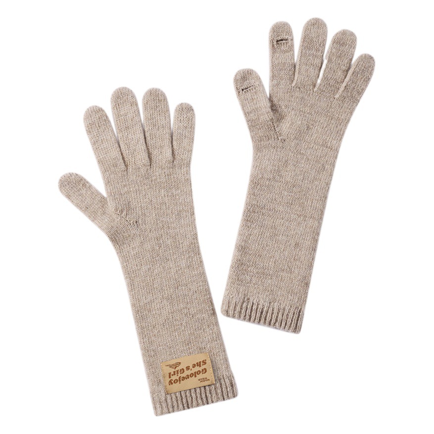 Autumn and Winter Knitted Wool Gloves Women's Outdoor fleece-lined Thickened Windproof Cold-proof Touch Screen Warm Wool Gloves DZ150
