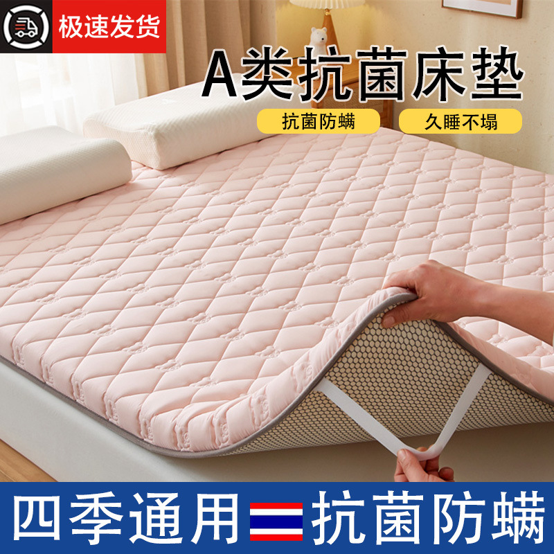 Mattress Home Cushion Thickened Tatami Mattress Bottom Bedroom Dormitory Student Single Rent Special Mat 2
