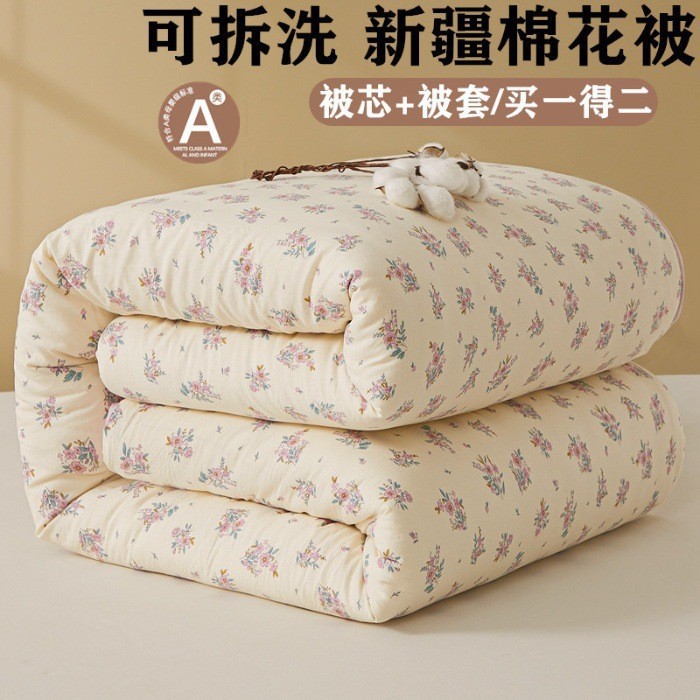 Class A Xinjiang Cotton Cotton Quilt Core Removable and Washable Spring and Autumn Quilt Home Student Dormitory Thick Quilt Winter Quilt ~