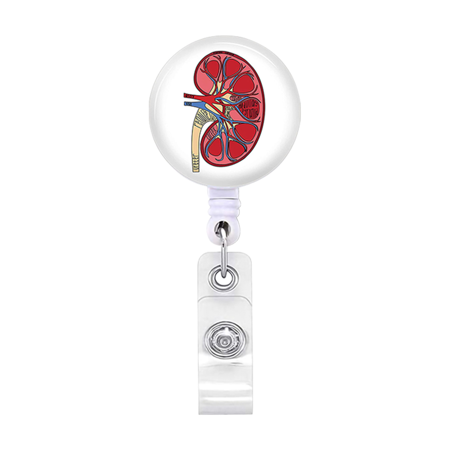 Picture of Heart, Spleen and Lung Brain, Large Intestine Organ Easy-Pull Buckle, Telescopic Easy-Pull Id Buckle, Doctor Nurse Badge Buckle Badge
