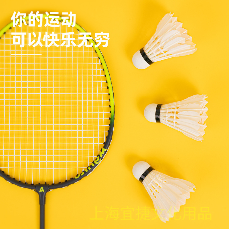 Picture of Deli angnite badminton F2202 outdoor durable badminton Entertainment grade goose feather badminton 12 PCs/box