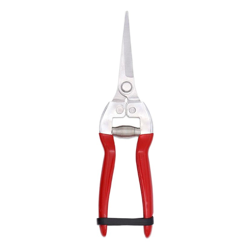 Stainless Steel Grafting Fruit Tree Shears, Garden Pruning Shears, Stainless Steel Plastic-Impregnated Pruning Shears