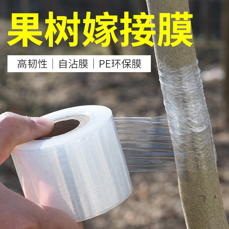 Grafting Film Self-Adhesive Knot-Free Special Film Fruit Tree Binding Tape Wrapping Film No-Disassembly Plastic Pe Seedlings