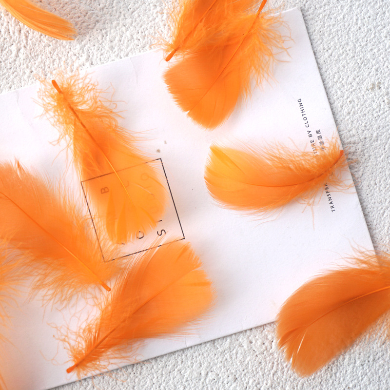 Picture of Manufacturer Wholesale Macaron Colorfulful Small Feather 5-8cm Goose Feather Small Floating Wave Ball Balloon Filling Decorative Material