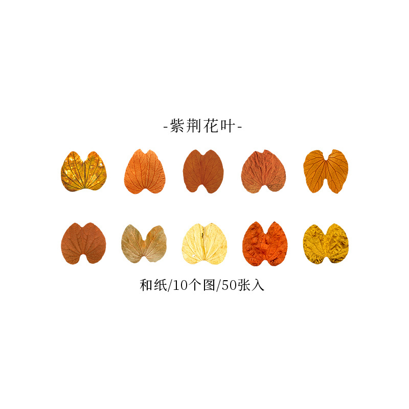 Picture of A Beautiful Day Tape Champs Elysees Leaves Series Creative Plant Hand Account DIY Decorative Stickers 8