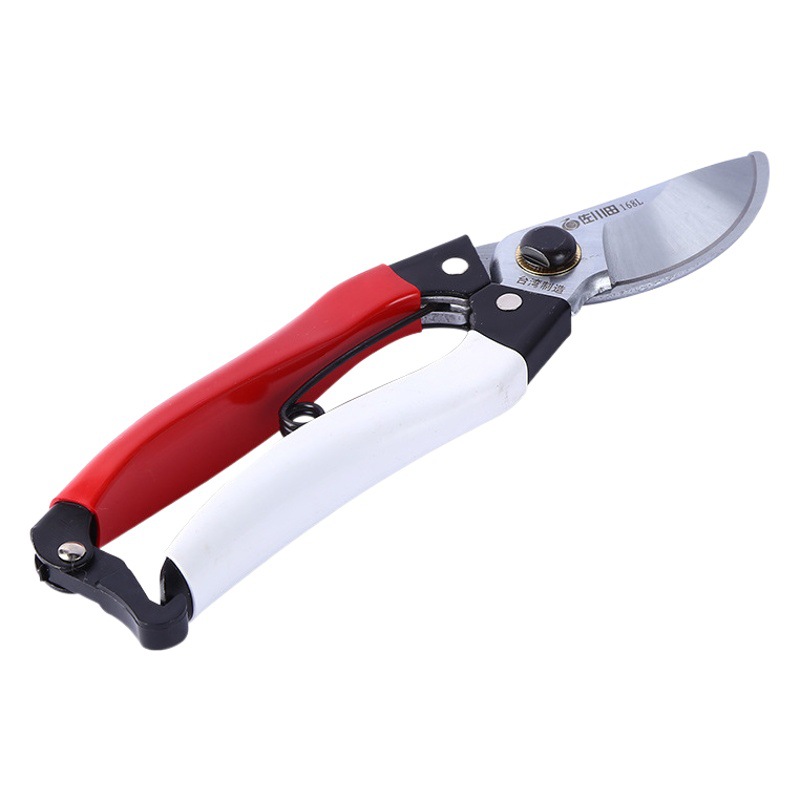 Taiwan Sagawa Tian 168L Garden Tools Pruning Shears Japan Gangoka Heng Branch Fruit Branch Shears Tree Branch Shears