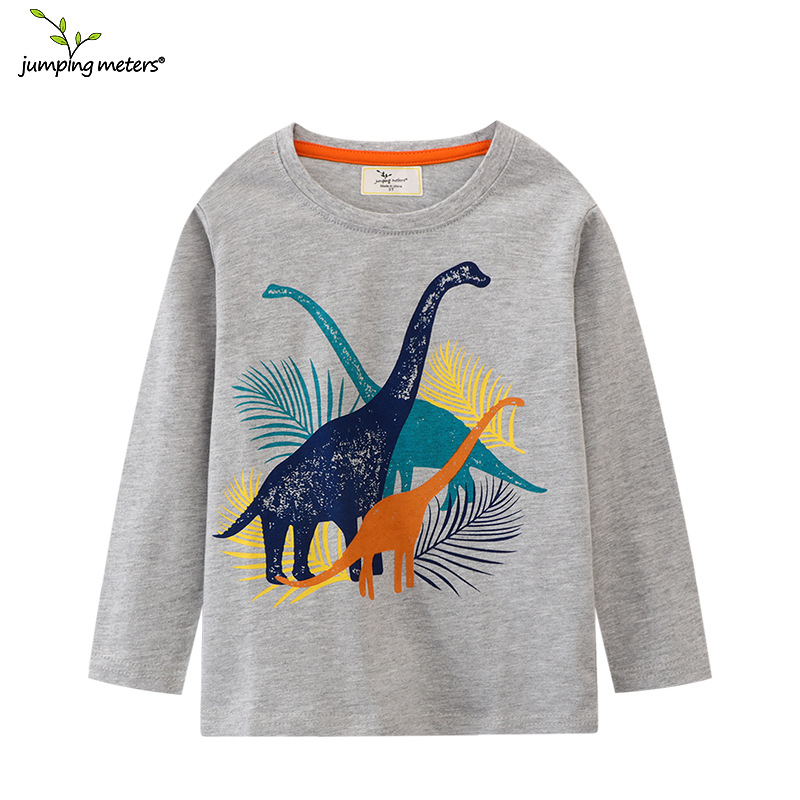 Picture of European and American New Autumn 2025 Children's Long-sleeved T-shirt European and American New Fashionable Children's Cartoon Printed Boys' Base Shirt