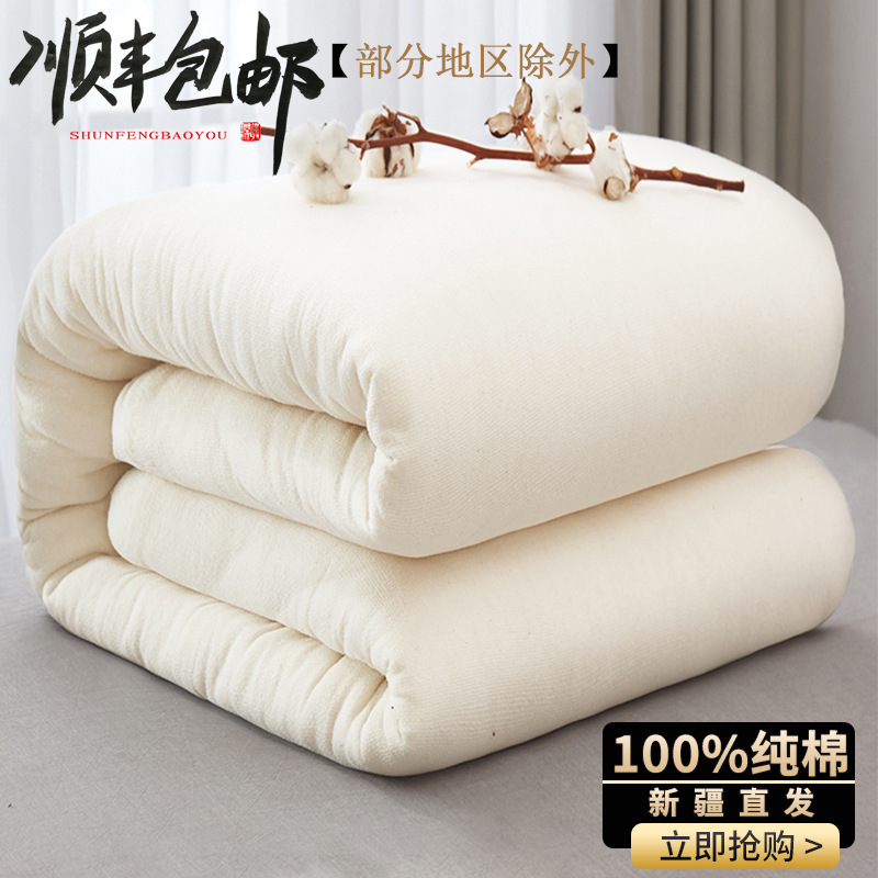 Xinjiang Cotton Quilt Core Household Double Quilt Thickened Winter Quilt Student Single Cotton Padding Bottom Mattress Factory