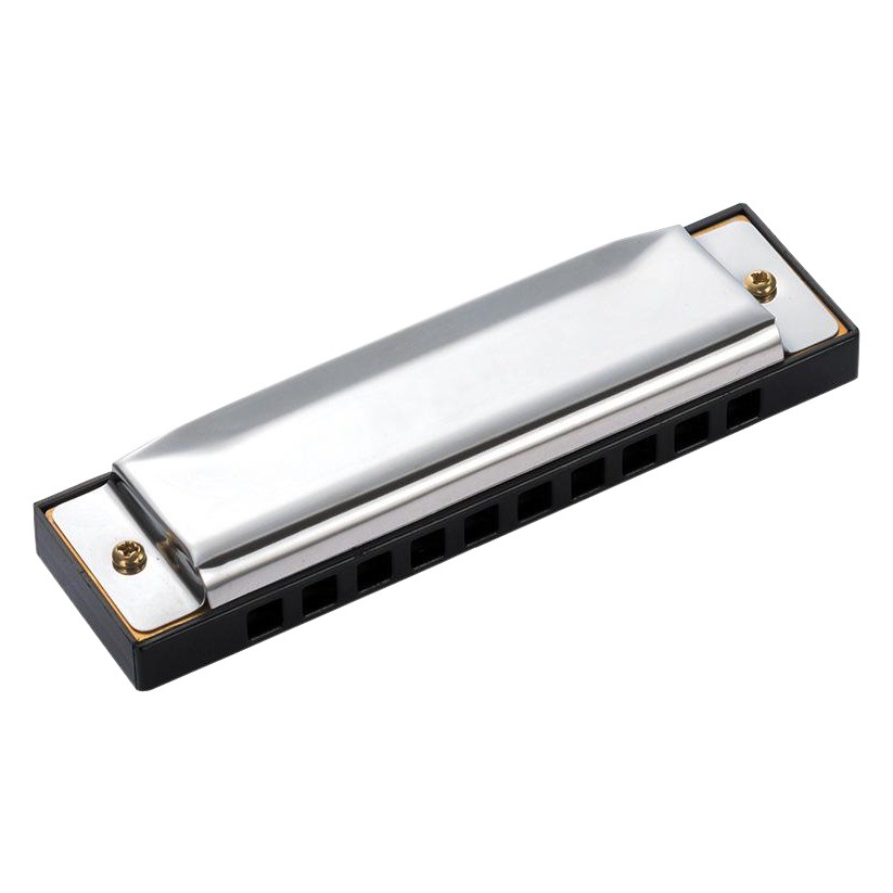Feifan 10-Hole C-Key Blues Harmonica for Beginners, 10-Hole Harmonica with Engraving Logo, Cross-Border Hot-Selling Musical Instrument