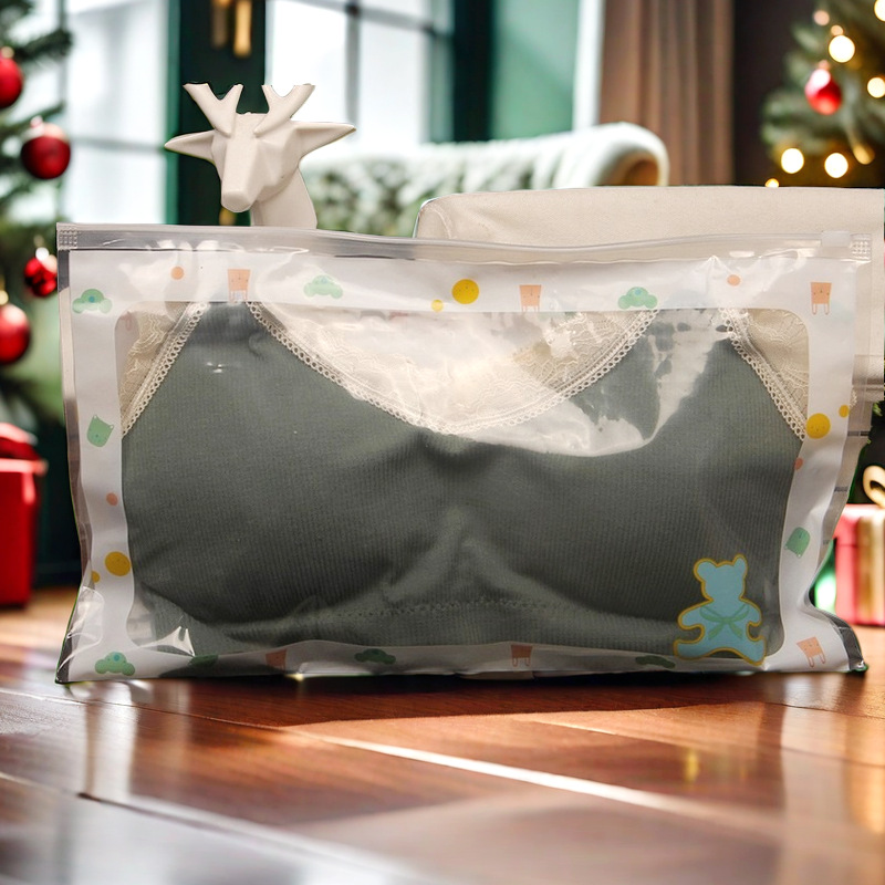 Bra packaging bag children's leggings underwear socks zipper bag horizontal pull PE high permeability clothes bag spot