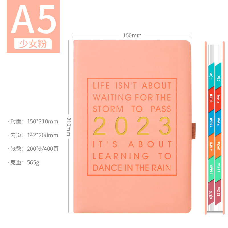 Picture of 2025 Schedule, 365-Day Daily Planner, One Page Per Day, Diary, Notepad, Time Management Notes