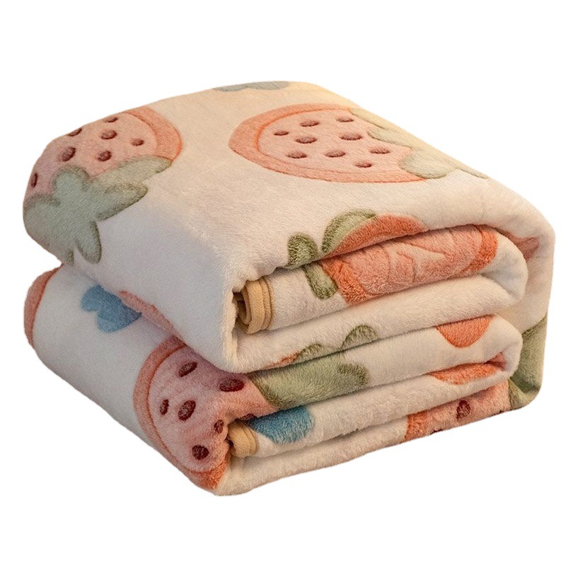 Nanjiren Flannel Blanket Cover Winter Velvet Thickened Coral Velvet Student Dormitory Bed Single Nap Blanket