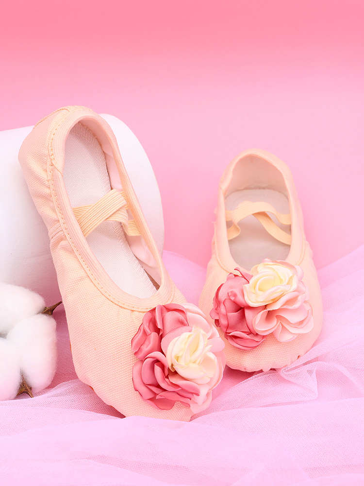 Single apricot new big flower ballet dance shoes elegant cute girl practice soft bottom dancing shoes 8068