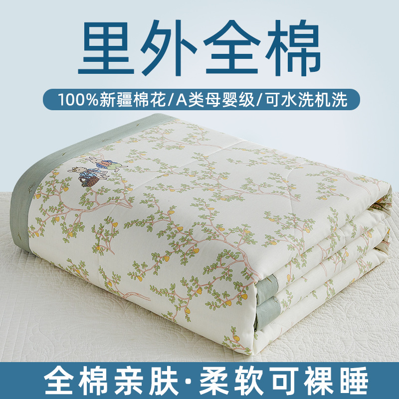Picture of Machine washable Class A Mother and Child Pure Cotton Summer Cool Quilt Cotton Air-conditioning Quilt Children's Pure Cotton Summer Quilt Cartoon Thin Quilt Core 1