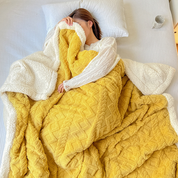 Picture of Thickened Coral Fleece Flannel Lamb Fleece Blanket Nap Sofa Blanket Office Shawl Air Conditioning Blanket