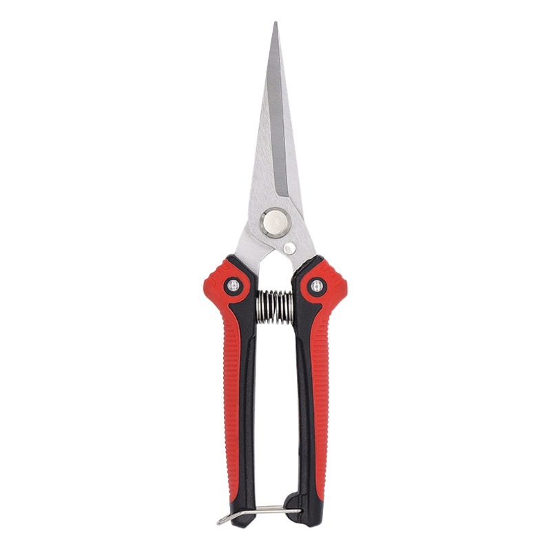 Fruit tree scissors pruning stainless steel pointed fruit picking shears pruning shears fruit and vegetable shears floral shears in stock wholesale