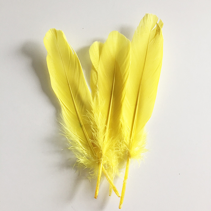 Picture of Feather color goose feather hard big floating dream catcher sunflower kindergarten handmade art class material wings decoration