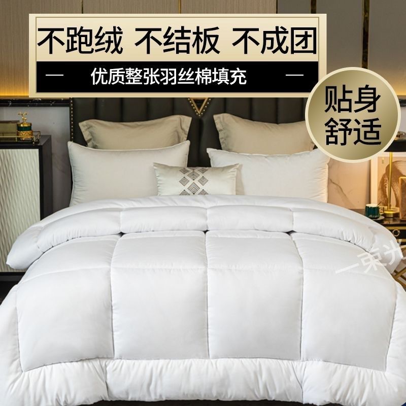 Picture of Hotel Homestay Hotel Quilt Core Quilt Sanding Thickened Warm Double Spring Autumn Winter Summer Quilt Feather Silk Cotton Four Seasons