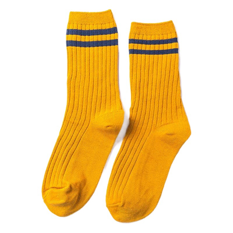 Autumn and winter new Japanese two bar ladies cotton socks thick striped Joker casual Korean socks wholesale