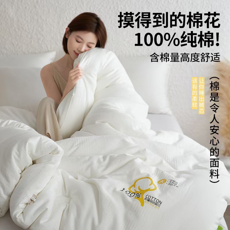Picture of Class A Xinjiang Cotton Quilt 100 Pure Cotton Quilt Long-staple Cotton Spring and Autumn Quilt Thickened Winter Quilt Single Double Household
