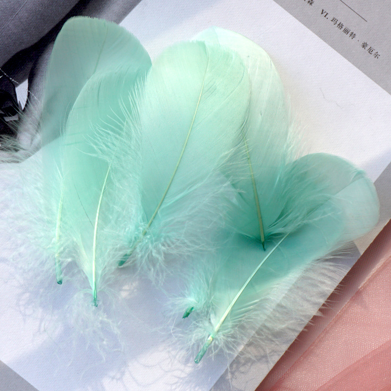 Picture of Color feather DIY floating dyeing goose feather dream catcher wave ball gift box filling decorative materials wholesale
