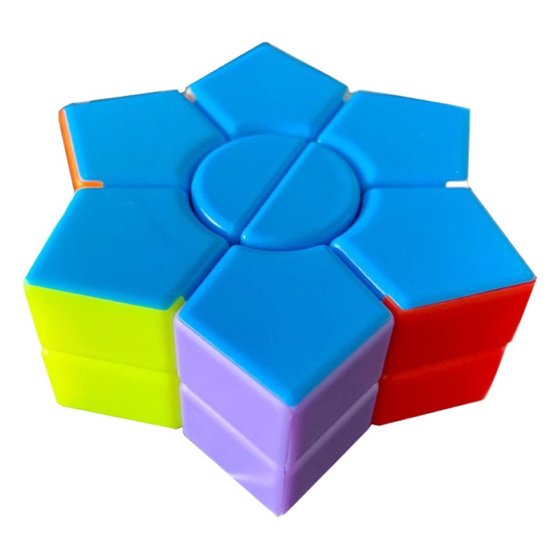 Pyramid Maple Leaf 223edi Cylindrical X Rubik's Cube Twisted Oblique Rubik's Cube
