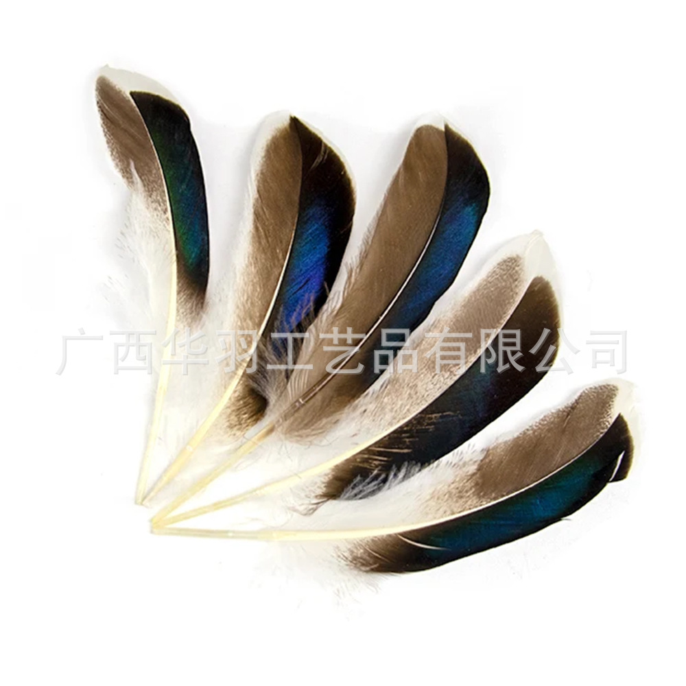 Picture of DIY Feathers, Natural Duck Feathers, Duck Feathers for Jewelry, Indian Headdress, Handmade Craft Decoration Materials, Creative and Natural