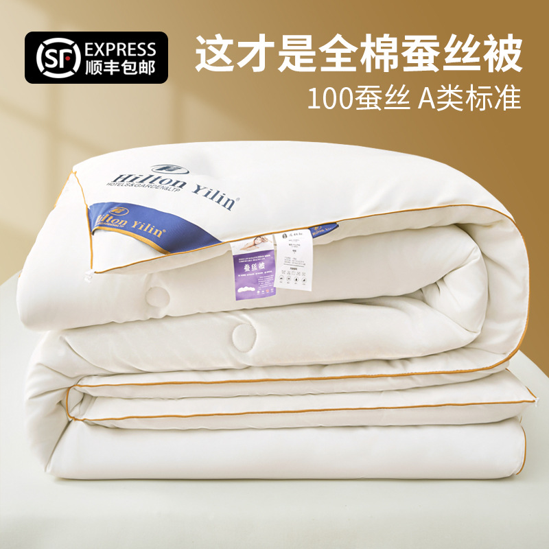 Pure Cotton Mulberry Silk Quilt Core Spring & Fall Quilt Summer Cool Quilt Double Air-Conditioned Quilt Thickeneded Winter Quilt Mother-In-Law Quilt
