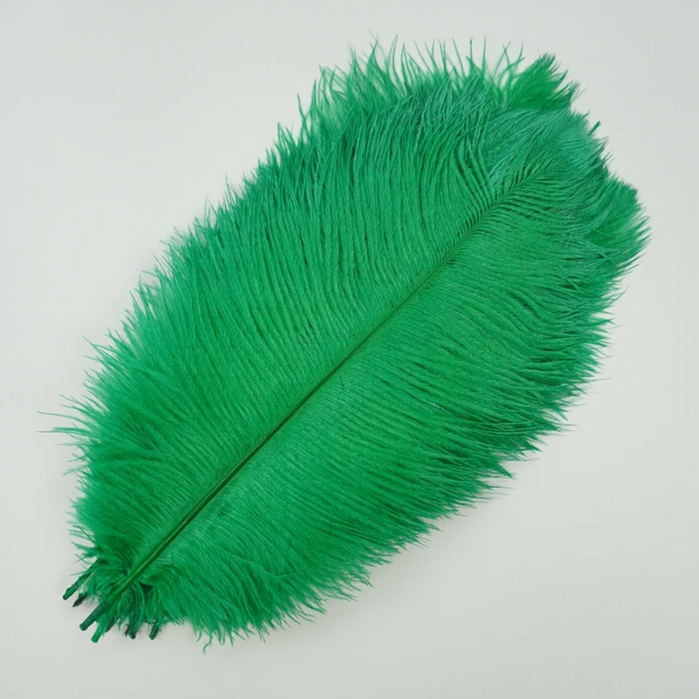 Picture of 10-15cm ostrich hair source factory bouquet wedding decoration feather wall handmade DIY crafts stage clothing