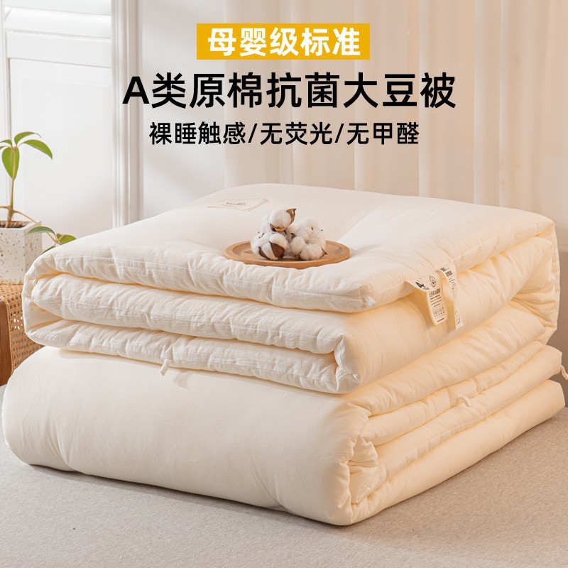 Picture of Class A Pure Cotton Soybean Fiber Quilt for All Seasons Summer Cool Quilt Core Winter Quilt Air Conditioning Quilt Thickened Warm Spring and Autumn