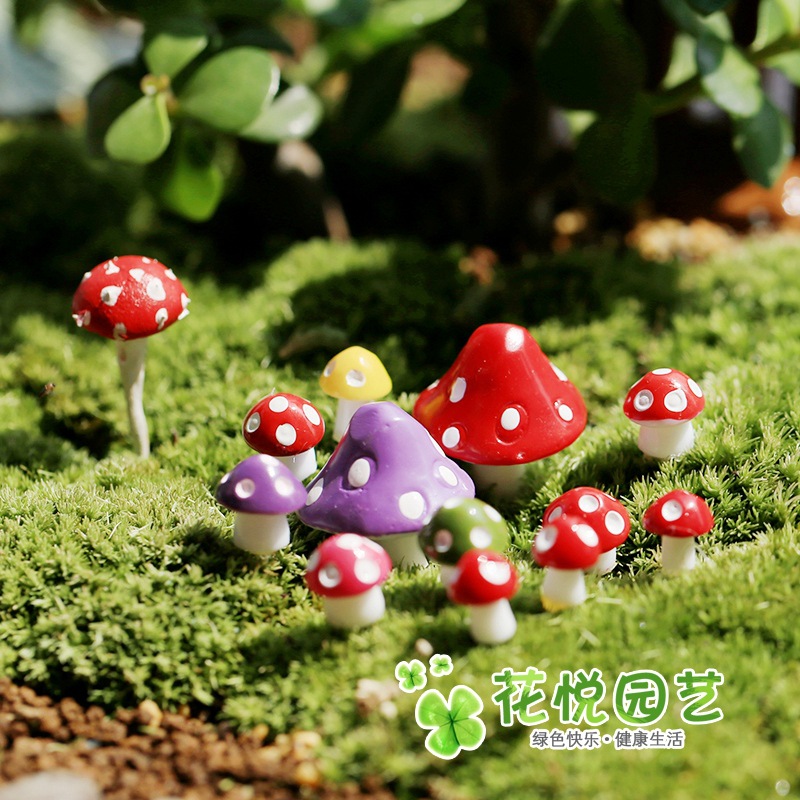 Picture of Mushroom Moss micro landscape ornaments fleshy ornaments ecological bottle DIY assembly resin ornaments medium 6 o'clock