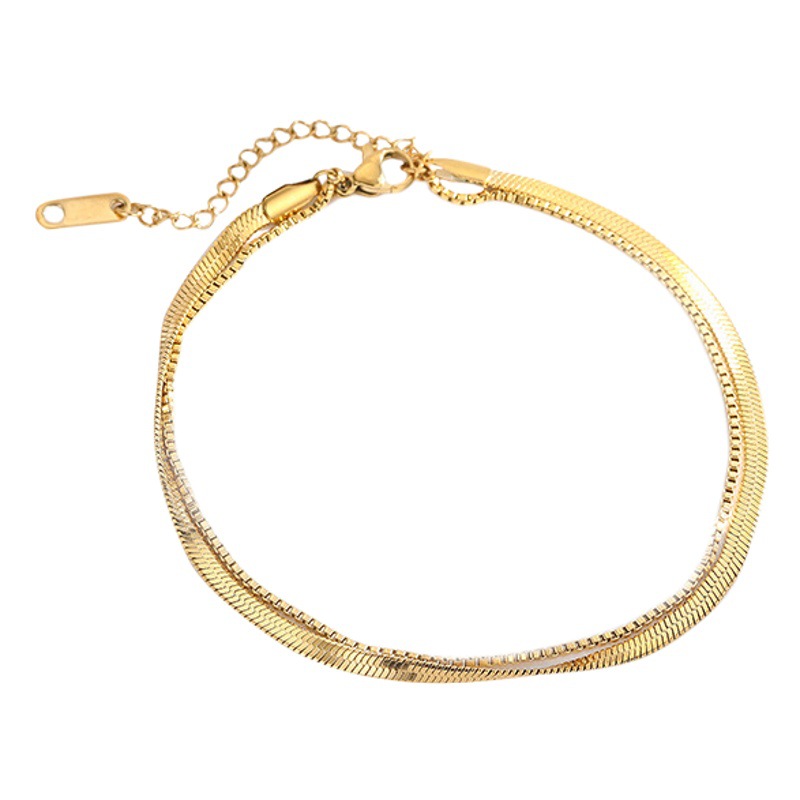 Japanese and Korean Style Simple Snake Bone Chain Double-layer Titanium Steel Anklet for Women Niche All-match 18k Golden Stainless Steel Internet Trendy Foot Accessories