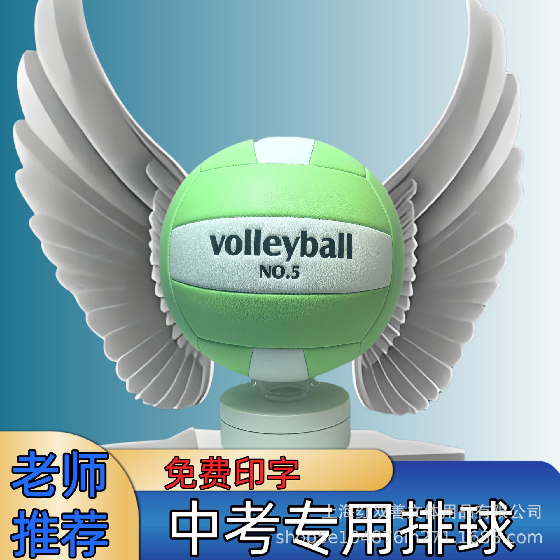 Picture of Gao Yanyi No.5 Volleyball Senior High School Entrance Examination Special Standard Match Training Ball Junior High School Students Physical Education Examination Soft Hard Volleyball