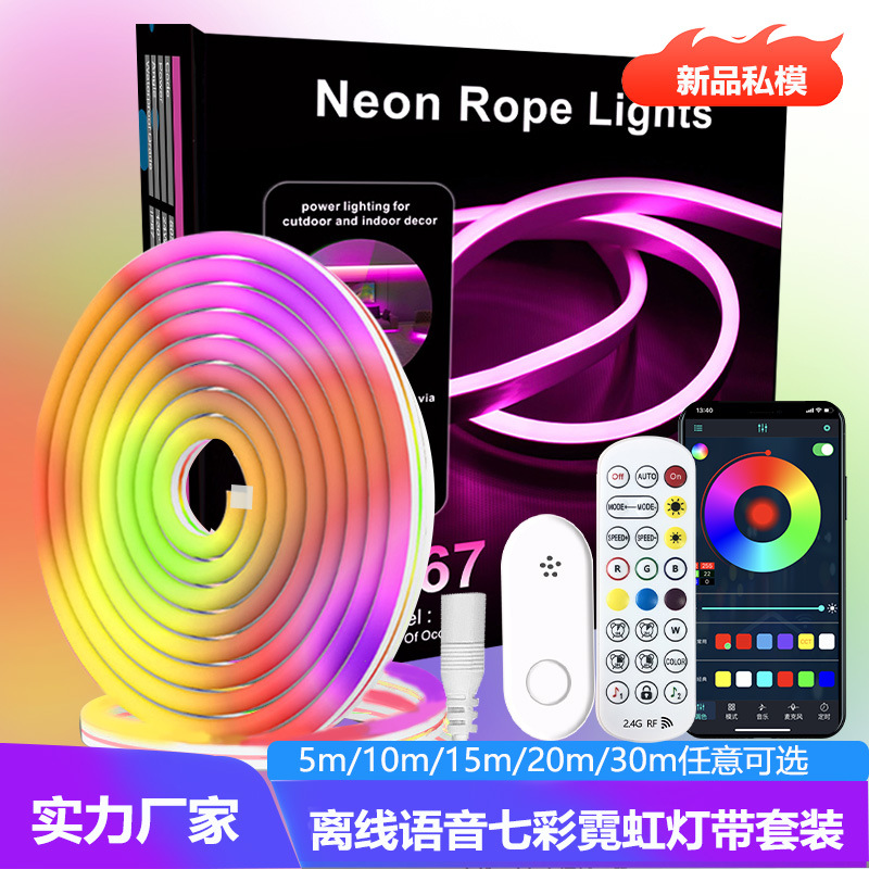 Offline Voice Neon Light Rgb Smart Bluetooth 2.4g Outdoor Light with Shape Lamp 30m Set Rgb Colorful
