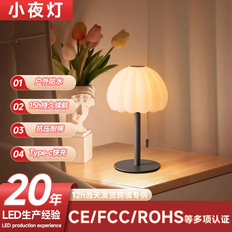 New Multifunctional Small Table Lamp with Retro Simple Style Pull-Tab Switch Top Touch Switch High-End Table Lamp
