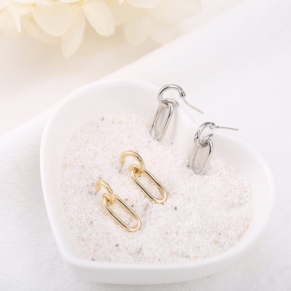 925 Silver Needle Cold Style Elegant Niche Design Cool Handsome Ear Stud Trendy Simple Oval Pendant Earrings Women's 916
