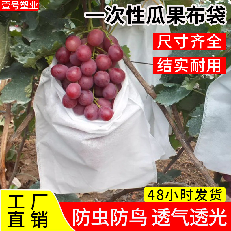 Disposable Non-woven Fruit Bag Grape Pear Fruit Protection Bag Insect-proof Bird-proof Rain-proof Fruit Bag