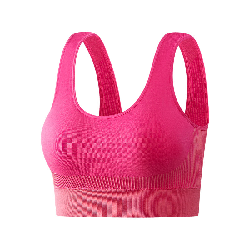 Picture of Cross-Border Sports Bra High-Strength Shock-Proof Large Size Quick-Drying Seamless Breathable Temu Popular Fitness Bra for Women Wholesale