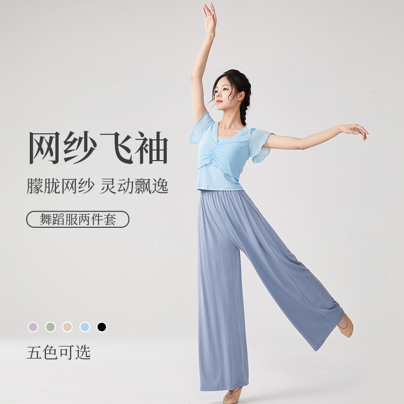 Dance Clothing Set, Classical Dance Practice Clothing, Adult Modern Dance Wide-Leg Pants, Dance Clothing, Small Flying Sleeves, Chinese Dance Clothing