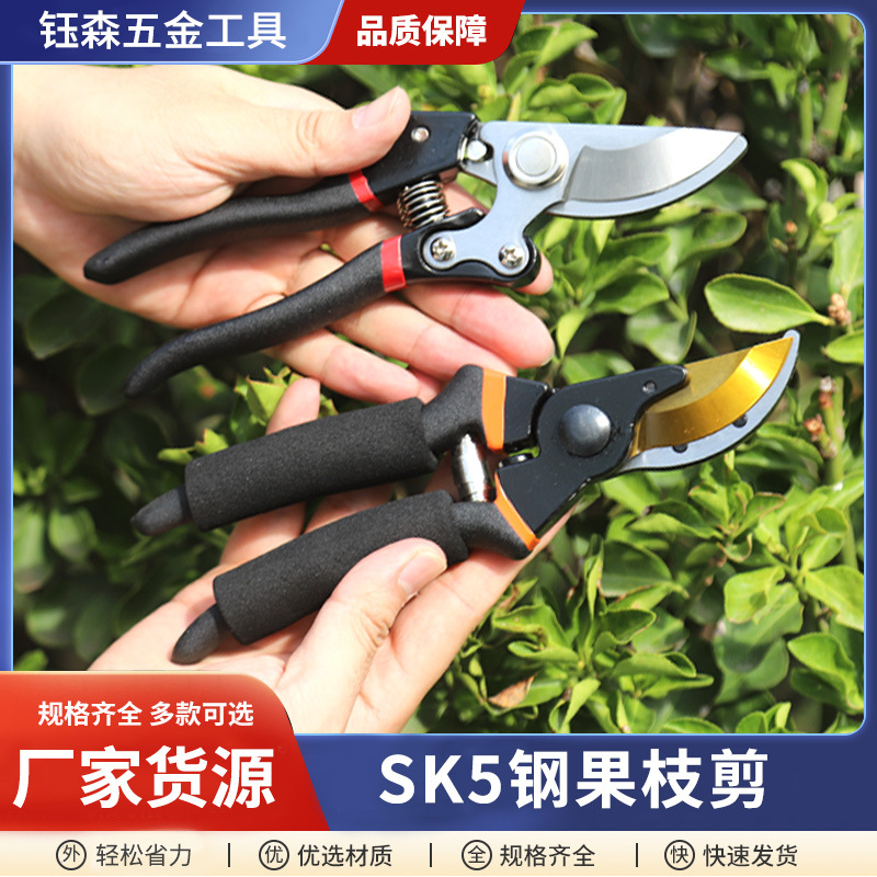 Manufacturer Wholesale Multifunctional Pruning Shears for Flowers, Branches, Fruit Branches, Gardening Shears Sk5 High Carbon Steel Orchard Bonsai