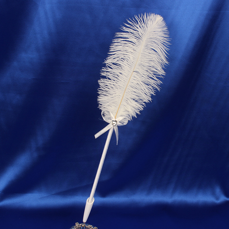 Wedding sign-in pen signature pen quill pen ostrich brush white spot supply