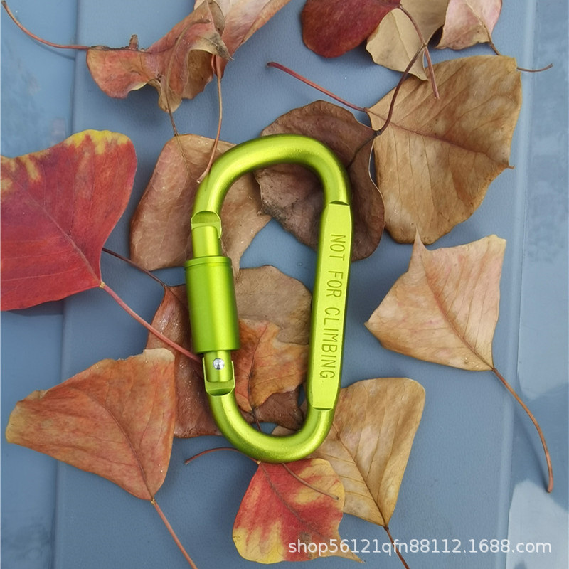 Picture of Outdoor aluminum alloy D-type quick hanging travel camping carabiner equipment camping carabiner large hanging buckle